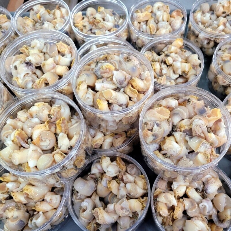 명품대게킹크랩,동해안 자연산 깐 자숙 백골뱅이 1통(250g)