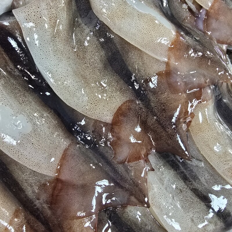 명품대게킹크랩,동해안 자연산 급냉 오징어(20~24미)