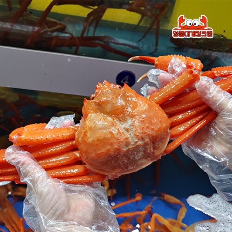 명품대게킹크랩, 대게, 킹크랩, 러시아대게, 백골뱅이, 흑골뱅이, 선어대게, 가리비, 선물세트,